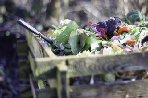 Des bacs à compost à votre disposition