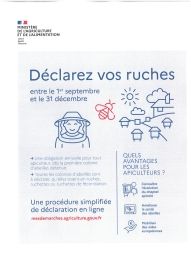 Campagne de Déclaration des ruches 2024